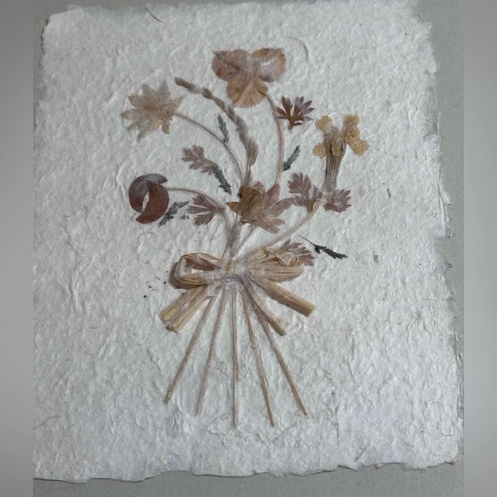 Vintage Pressed Botanical Art – Set of 2 |‎ Framed Floral Wall Decor